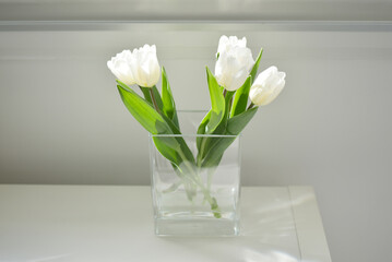 bouquet de tulipes blanches