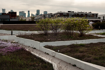 Flowerbeds on the roof on a background of skyscrapers.