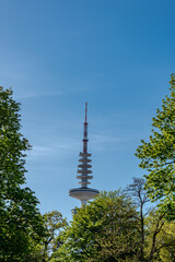 the hamburg tv tower framed by trees and a blue sky