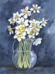 Watercolor drawing sketch narcissuses in the transparent jug
