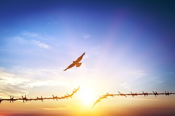 Barbed wire fence with sunset sky. Concept human rights.