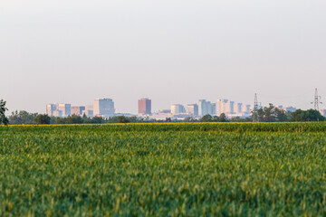 Panorama miasta - Łódź - Polska 