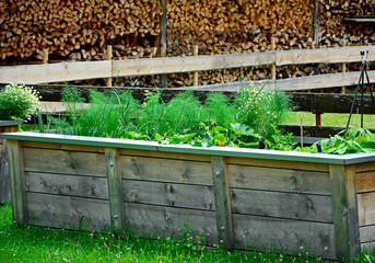 podwyżsona grządka, drewniana skrzynia do uprawy warzyw, ogród kuchenny, raised bed