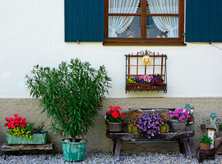 front domu, kolorowe kwiaty w donicach i okno z okiennicami, dekoracja fronu