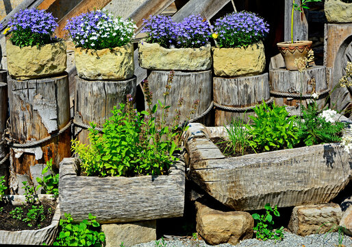 kwiaty w kamiennych donicach i drewnainych korytkach, białe i niebieskie lobelie (Lobelia), flowers in stone pots and wooden trough, white and blue lobelias