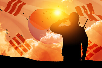 Silhouette of soldier saluting against the sunrise or sunset and South Korea flag. Concept - armed...