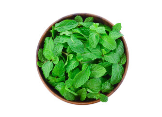 fresh mint leaves in wooden bowl isolated on white background