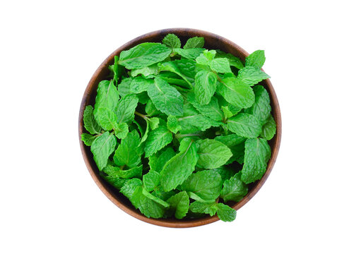 Fresh Mint Leaves In Wooden Bowl Isolated On White Background