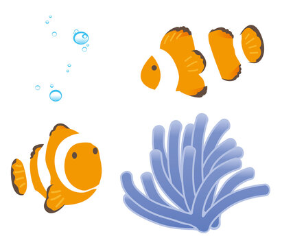 イソギンチャク Images Browse 1 841 Stock Photos Vectors And Video Adobe Stock