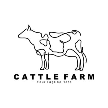 cow animal logo, cattle farm, dairy farm animal illustration design