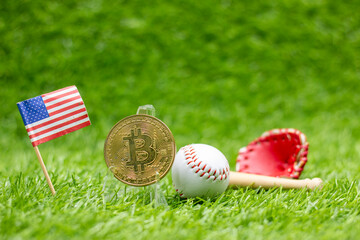 Bitcoin with baseball on green grass. 
Bitcoin is a decentralized digital currency that can be transferred on the peer-to-peer bitcoin network. 
