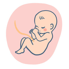 胎児のかわいいイラスト