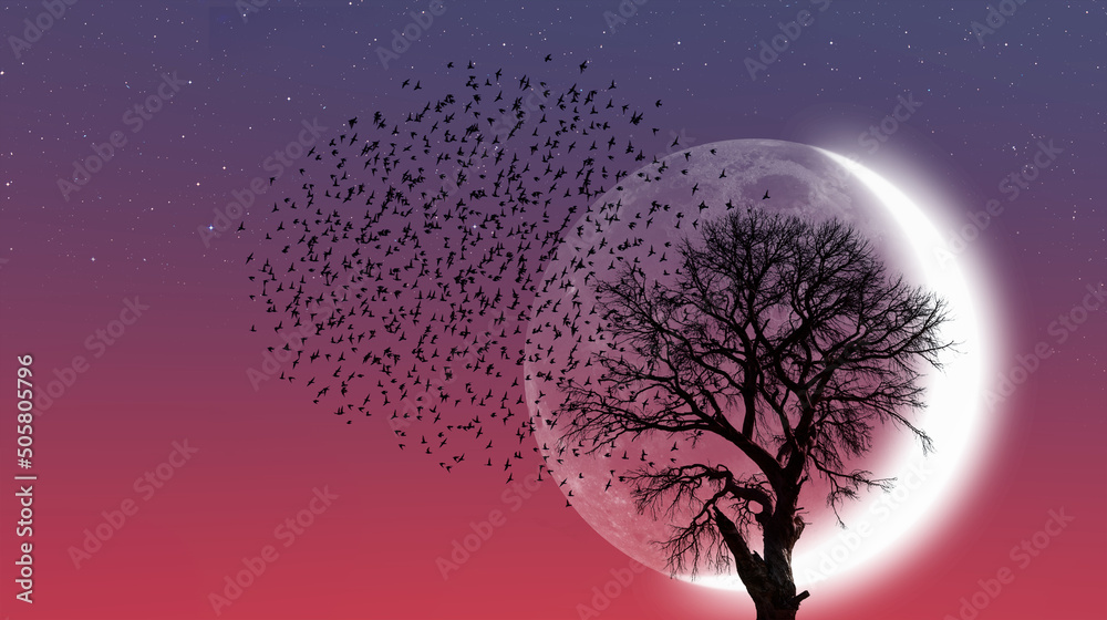 Poster silhouette of birds with lone dead tree and new moon against amazing sunset 