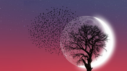 Silhouette of birds with lone dead tree and new moon against amazing sunset 