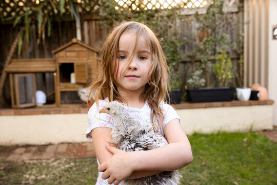 Girl in backyard holding a pet frizzle chicken