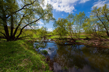 Fototapeta na wymiar Small river with sky reflection. Russia