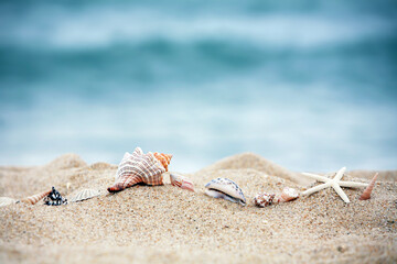 Fototapeta na wymiar 바닷가 모래위 불가사리와 소라와 조개 그리고 파도치는 여름 바다와 푸른 해변 풍경 