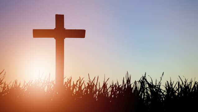 Shining holy cross of jesus christ in grass