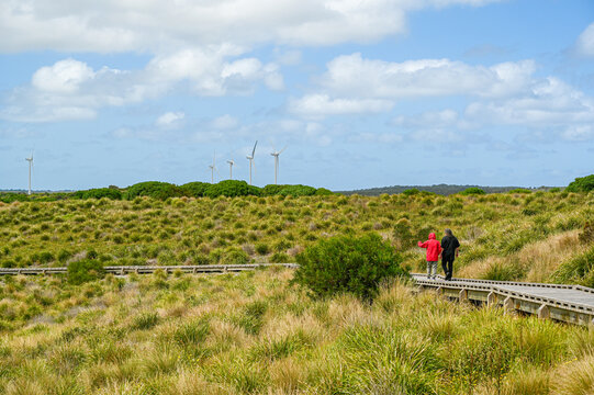 coastal boardwalk with wind turbines
