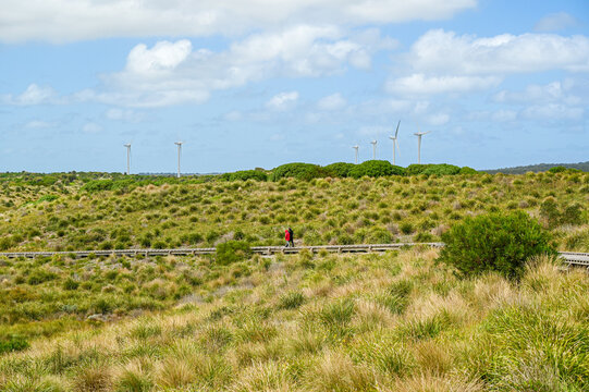 coastal boardwalk with wind turbines