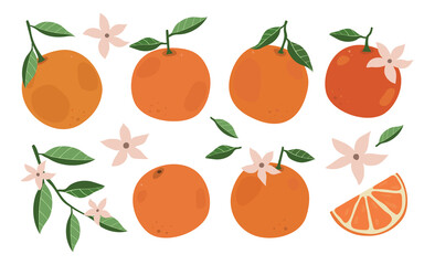 Set of oranges. Cartoon style colorful hand drawn  vector illustration