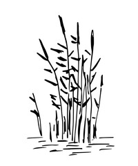 Simple black outline vector drawing. Reeds in water, vegetation, lake and swamp. Nature and landscape. Sketch in ink. - obrazy, fototapety, plakaty