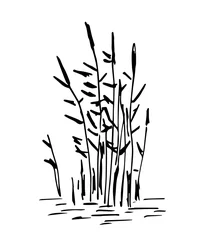 Fotobehang Simple black outline vector drawing. Reeds in water, vegetation, lake and swamp. Nature and landscape. Sketch in ink. © MaxNadya