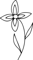 Naklejka premium collection forest fern eucalyptus art foliage natural leaves herbs in line style. Decorative beauty, elegant illustration for design: Vector flower Botanical