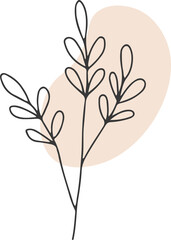 collection forest fern eucalyptus art foliage natural
leaves herbs in line style. Decorative beauty, elegant illustration 
for design: Vector flower Botanical