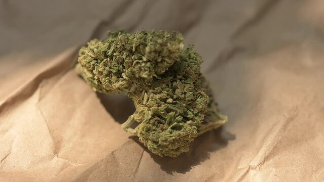 Cannabis Leaf. Cannabis plant ready to smoke. Beautiful cogollo. Marihuana, cbd, thc video 4k. Concept of medicinal marihuana.