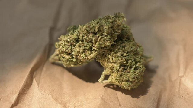 Cannabis Leaf. Cannabis plant ready to smoke. Beautiful cogollo. Marihuana, cbd, thc video 4k. Concept of medicinal marihuana.