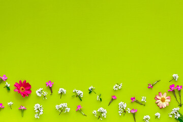 緑のバックボードと小花の背景素材