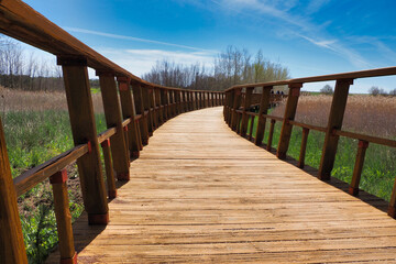 bridge in the national park of las tabla de daimiel