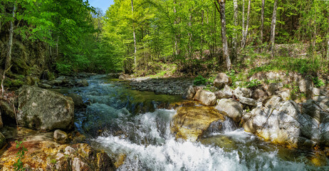 Fototapeta premium River in the mountain forest landscape - Romania, Oltetului Keys