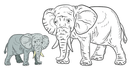 Animals. Black and white image of a large elephant, coloring book for children. Vector image.
