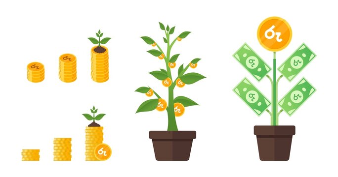 Sri Lankan Rupee Money Tree Growing