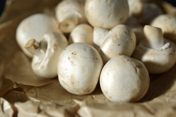 champignons de Paris