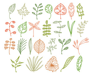 Leaves simple illustrations isolated on white background