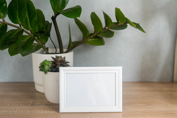 Portrait white picture frame mockup with white pots with succulents and zamiokulkas