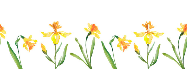 Fototapeta na wymiar Seamless background with flowers of yellow daffodils. Seamless pattern