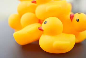 canards jaunes jouet enfant