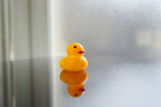 canard jaune jouet enfant