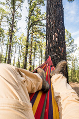 Men relax on hammock legs pov with high tree and woods forest park in background - free people enjoying environment nature and adventure travel lifestyle - blue sky and weekend rest concept - obrazy, fototapety, plakaty