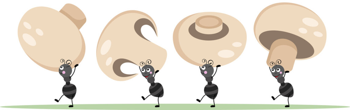 Cute ants carrying a mushrooms