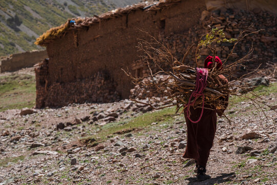 woman carrying firewood, Azib Ikkis, Atlas mountain range, morocco, africa