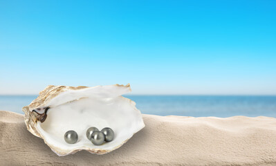 Open oyster shell with black pearls on sandy beach near sea. Space for text