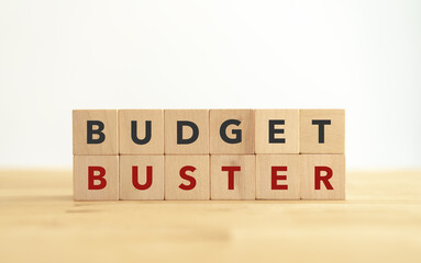 BUDGET BUSTER. Business and finance concept. Wooden cubes with BUDGET BUSTER word on grey background and copy space.