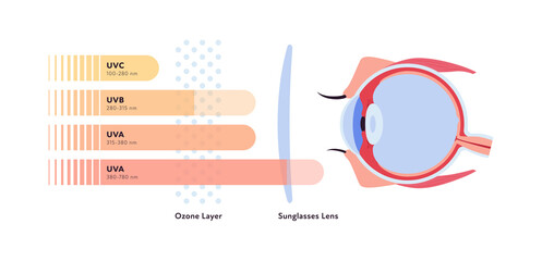 Uv rays and visible light healthcare infographic. Vector flat illustration. UVA, UVB, UVC lights go and reflect by ozone layer and sun block lens to eye ball. Design for uv awareness month. - obrazy, fototapety, plakaty