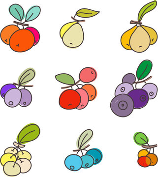 berries and fruite colorful vector illustration set
