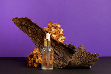 A glass cosmetic bottle with essential oil stands purple background with wood and flowers. The concept of natural cosmetics, natural essential oil